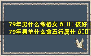 79年男什么命格女 🐎 孩好「79年男羊什么命五行属什 🐯 么」